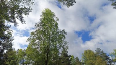 Ontoerekeningsvatbaar